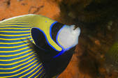 tkm001_546143