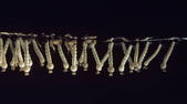 tkm001_546197
