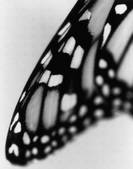 tkm001_589063