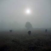 tkm001_590270