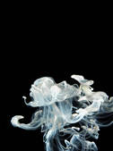 tkm001_600734