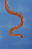 tkm001_606561