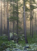 tkm001_637200