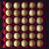 tkm001_769509