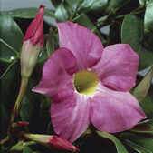 tkm001_770532