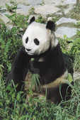 tkm001_780044