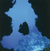 tkm001_780063