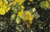 tkm001_781145
