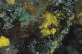 tkm001_781198