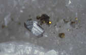 tkm001_781221