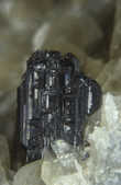 tkm001_781302