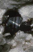 tkm001_781347