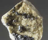 tkm001_781550