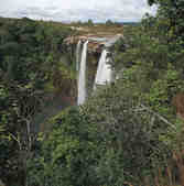 tkm001_782159
