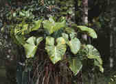 tkm001_782170