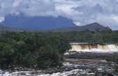 tkm001_785717
