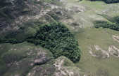 tkm001_785720