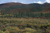 tkm001_791896