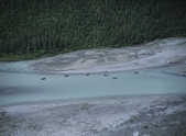 tkm001_791972