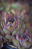 tkm001_802457