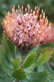 tkm001_803125
