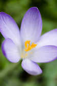 tkm001_805484