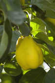 tkm001_806633