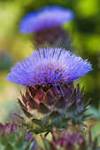 tkm001_808490