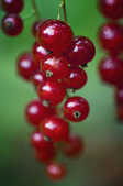 tkm001_809628