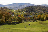 tkm001_818773