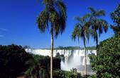 tkm001_822265