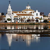 tkm001_873232