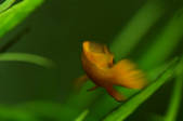 tkm001_880846