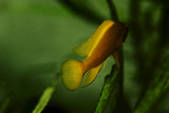 tkm001_880847