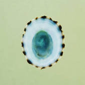 tkm001_955027