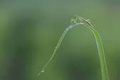 tkm003_148406