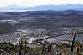 tkm003_185294