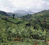 tkm003_186659