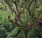 tkm003_187713