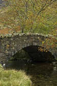 tkm003_189161