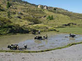 tkm003_189506