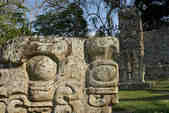tkm003_190263