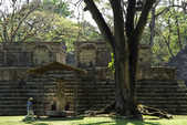 tkm003_190268