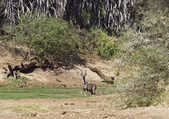 tkm003_190502