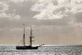 tkm003_196415