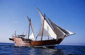 tkm003_197624