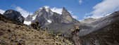 tkm003_199032