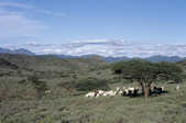 tkm003_199090