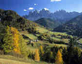 tkm003_202006