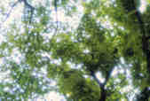 tkm003_202867